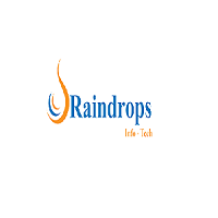 raindropsinfotech
